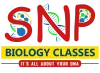 SNP Biology